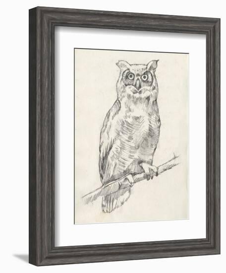 Owl Portrait I-Jennifer Goldberger-Framed Art Print