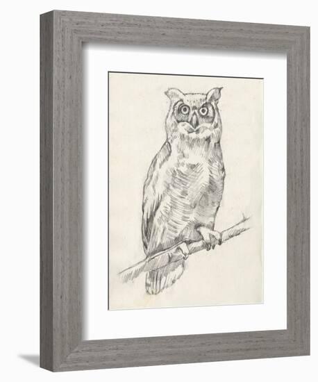 Owl Portrait I-Jennifer Goldberger-Framed Art Print