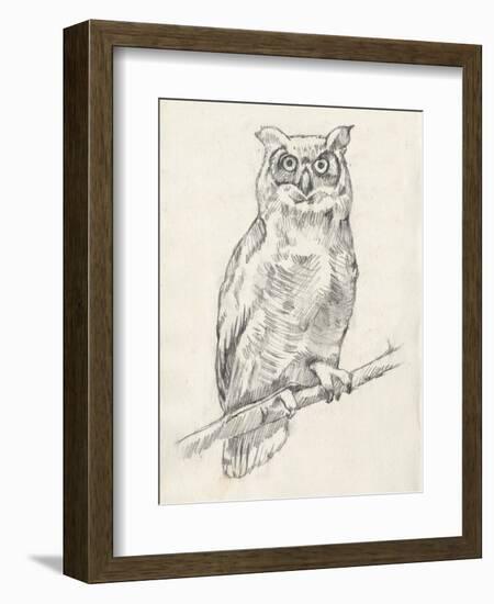 Owl Portrait I-Jennifer Goldberger-Framed Art Print