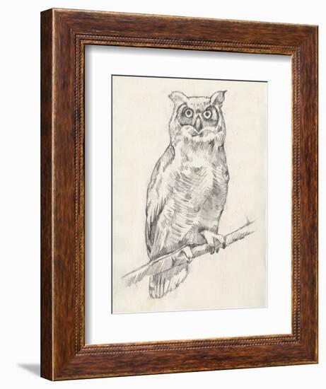 Owl Portrait I-Jennifer Goldberger-Framed Art Print