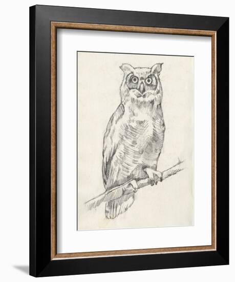 Owl Portrait I-Jennifer Goldberger-Framed Art Print