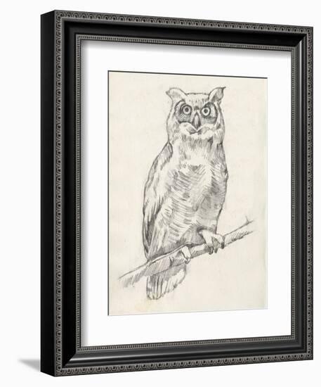 Owl Portrait I-Jennifer Goldberger-Framed Art Print