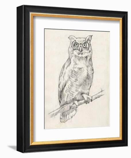 Owl Portrait I-Jennifer Goldberger-Framed Art Print
