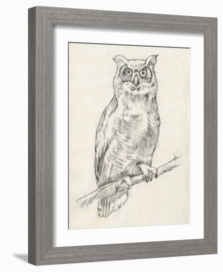 Owl Portrait I-Jennifer Goldberger-Framed Art Print