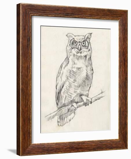 Owl Portrait I-Jennifer Goldberger-Framed Art Print