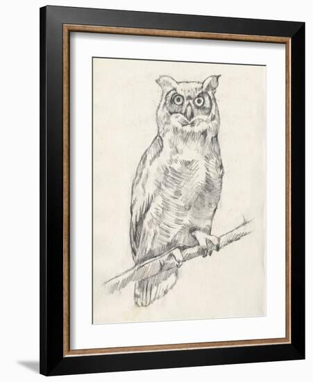 Owl Portrait I-Jennifer Goldberger-Framed Art Print