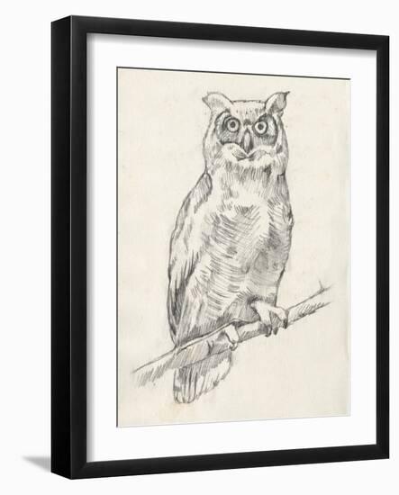 Owl Portrait I-Jennifer Goldberger-Framed Art Print
