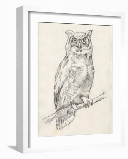 Owl Portrait I-Jennifer Goldberger-Framed Art Print