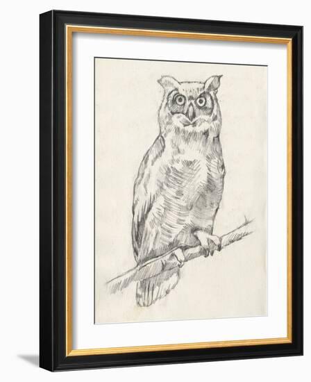 Owl Portrait I-Jennifer Goldberger-Framed Art Print