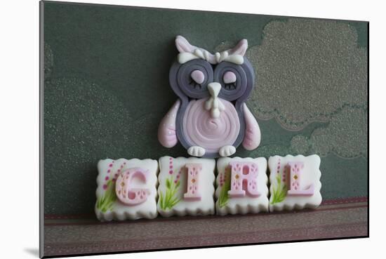 Owl Quilled Girl-null-Mounted Photographic Print