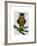 Owl Reading on Branch-Fab Funky-Framed Art Print