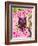 Owl Set Numlet Pinks 2-Melody Hogan-Framed Art Print