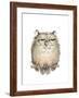 'Owl VII' Giclee Print - Judy Rossouw | Art.com