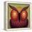 Owl Wow-Ryan Fowler-Framed Stretched Canvas