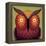 Owl Wow-Ryan Fowler-Framed Stretched Canvas