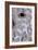 Owl3 (digital)-Scott J. Davis-Framed Giclee Print