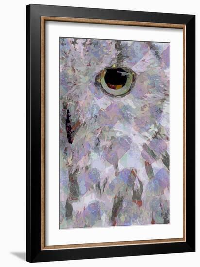 Owl3 (digital)-Scott J. Davis-Framed Giclee Print