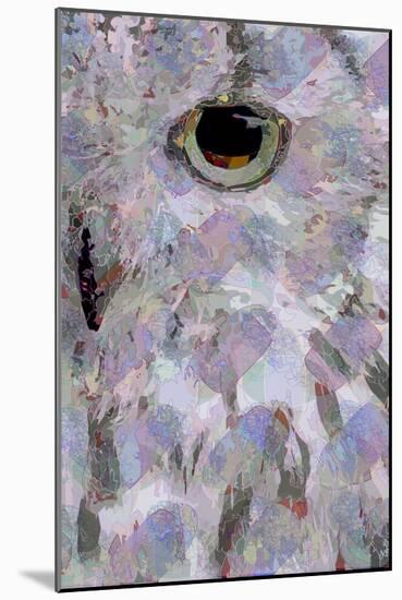 Owl3 (digital)-Scott J. Davis-Mounted Giclee Print