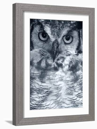 Owl-Gordon Semmens-Framed Photographic Print