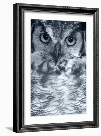 Owl-Gordon Semmens-Framed Photographic Print