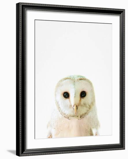 Owl-Tai Prints-Framed Photographic Print