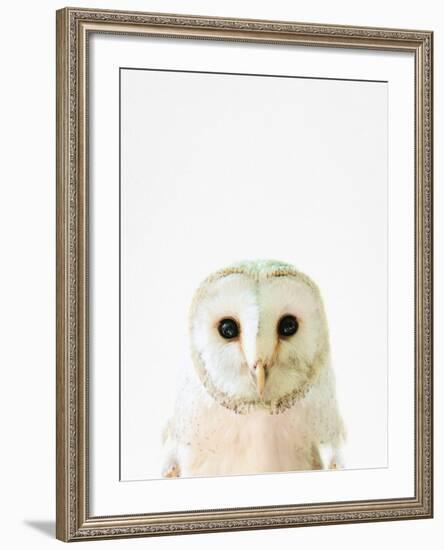 Owl-Tai Prints-Framed Photographic Print