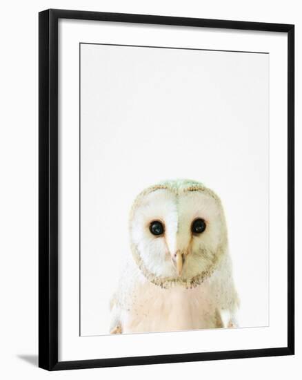 Owl-Tai Prints-Framed Photographic Print