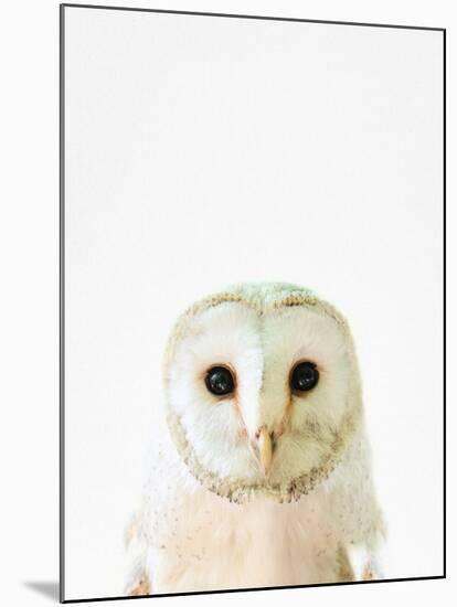 Owl-Tai Prints-Mounted Photographic Print