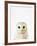 Owl-Tai Prints-Framed Photographic Print