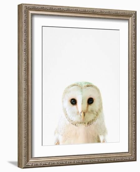 Owl-Tai Prints-Framed Photographic Print