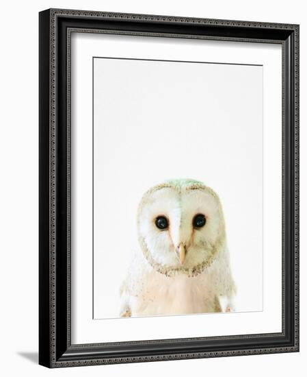 Owl-Tai Prints-Framed Photographic Print