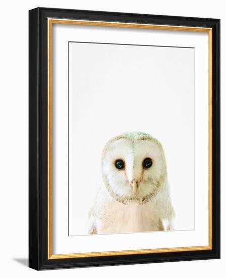 Owl-Tai Prints-Framed Photographic Print