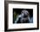 Owl-Reiner Bernhardt-Framed Photographic Print