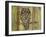 Owl-Karen Williams-Framed Giclee Print