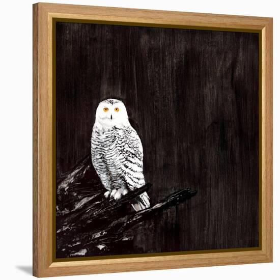 Owl-Paul Ngo-Framed Premier Image Canvas