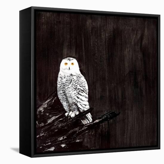 Owl-Paul Ngo-Framed Premier Image Canvas