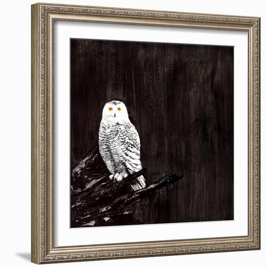 Owl-Paul Ngo-Framed Giclee Print