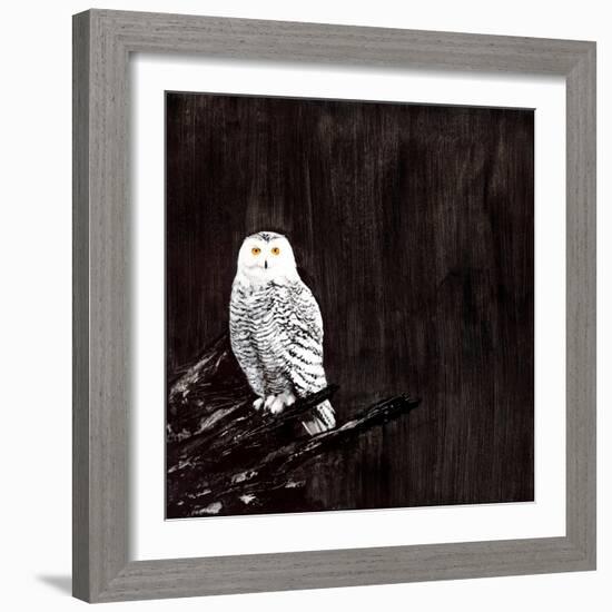 Owl-Paul Ngo-Framed Giclee Print