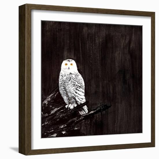 Owl-Paul Ngo-Framed Giclee Print