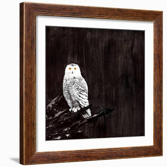 Owl-Paul Ngo-Framed Giclee Print