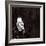 Owl-Paul Ngo-Framed Giclee Print