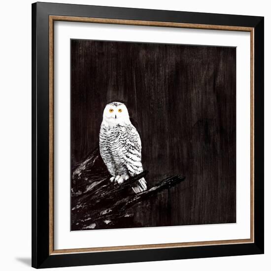 Owl-Paul Ngo-Framed Giclee Print