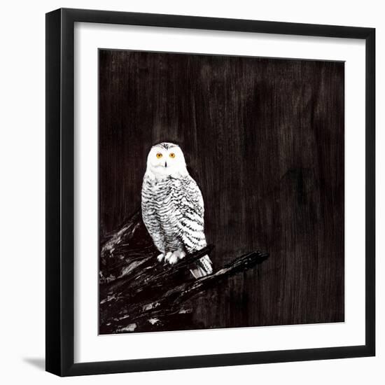 Owl-Paul Ngo-Framed Giclee Print