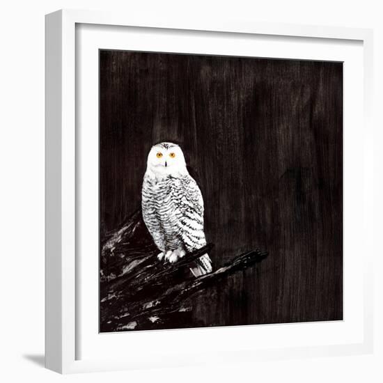 Owl-Paul Ngo-Framed Giclee Print