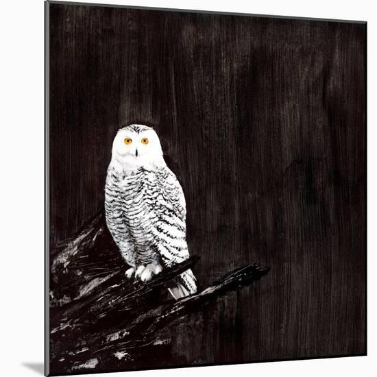 Owl-Paul Ngo-Mounted Giclee Print