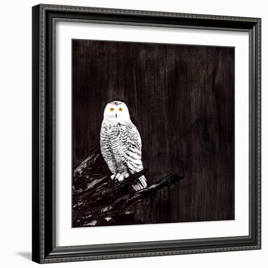 Owl-Paul Ngo-Framed Giclee Print