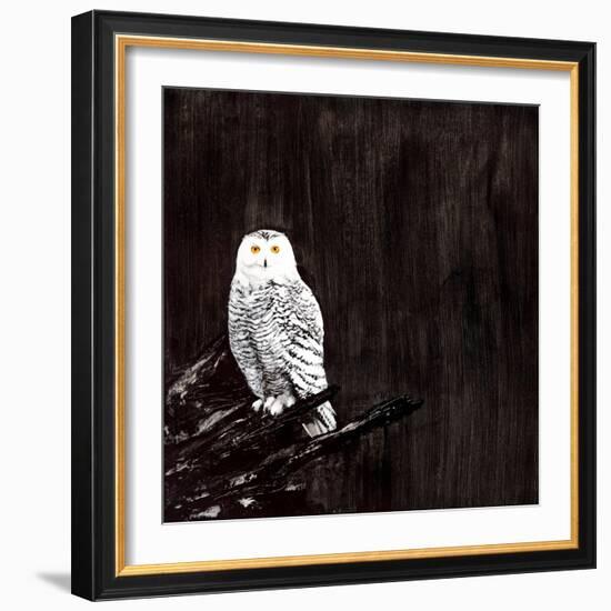 Owl-Paul Ngo-Framed Giclee Print