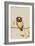 Owl-Natasha Marie-Framed Giclee Print