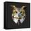Owl-Lora Kroll-Framed Stretched Canvas