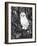 Owl-Geraldine Aikman-Framed Giclee Print